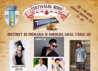 Festival al berii în parcarea de la mall