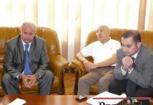 Cărămizi chinezeşti "made în Gorj"