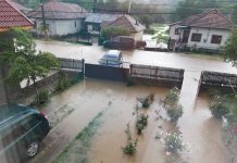 VIDEO. FOTO. INUNDATII la Tismana!