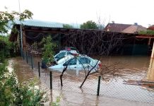Gospodării inundate la Tismana