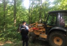 Urs prins într-un laț, la Lelești