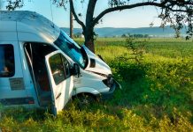 Un microbuz cu muncitori a intrat într-un copac! Șoferul consumase alcool