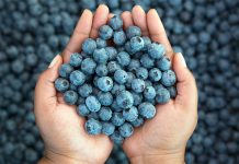 Afinele au efecte antiîmbătrânire. Vezi ce alte beneficii mai au!