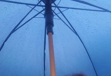 A stat câteva ore în ploaie din ordinul primarului Stan. „Am ajuns la limita de a suporta aceste umilințe“