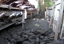 Polițiști condamnați definitiv în dosarul „Mafia Cărbunelui“