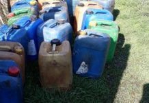 Tată și fiu prinși la furat