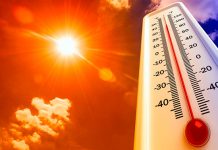 Vezi cum să faci față canicului fără aer condiționat