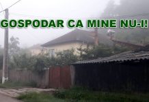 GOSPODAR CA MINE NU-I! | Primarul de Licurici cultivă fasole ca să aibă gaze în vila din Totea!