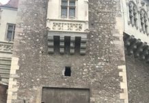 Beneficiarii DGASPC, în vizită prin Hunedoara