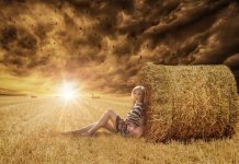 Agricultura pe înțelesul tuturor – Va fi vară secetoasă – Cum să ne protejăm culturile de câmp