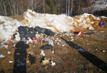 Instituțiile statului somate să dea amenzi! „Doar așa putem scăpa de gunoaie”