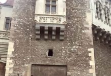 Excursie în județul Hunedoara, organizată de DGASPC Gorj