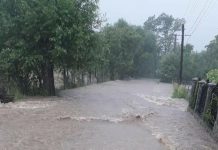 Simulare de inundații la Novaci