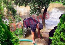 Mai multe gospodării din Târgu Jiu INUNDATE azi-noapte! Doi copaci au căzut la pământ!