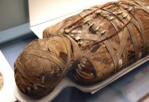 5 cele mai misterioase mumii din lume