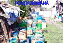 Percheziții la firma și rudele unui afacerist din Târgu-Cărbunești! Patronul, oprit cu focuri de armă