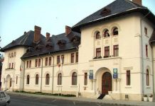 Angajații Primăriei Târgu Jiu, supuși la teste