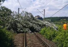 Trenuri cu sute de călători, oprite după ce mai mulţi copaci au căzut pe firele de contact