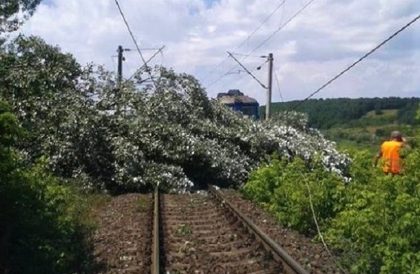Trenuri cu sute de călători, oprite după ce mai mulţi copaci au căzut pe firele de contact