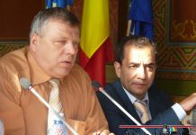 Spaniolii vor face cărămizi la Bustuchin