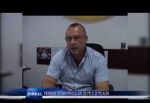 PERMISE ȘI ÎNMATRICULĂRI DE PE O ZI PE ALTA