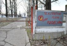 Doi angajați din Sri Lanka de la fost Avicola sunt acuzați de furt