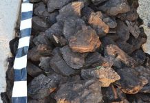 Peste 2.600 de kg de cărbune confiscat de polițiștii gorjeni!