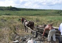 Avertisment al Primăriei Târgu-Jiu!