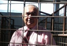 Primăria a băgat un milion de lei în adăpostul pentru câini