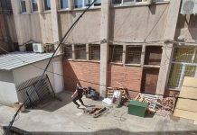 Angajații unei firme de pază din Târgu Jiu au salvat doi pui de pescăruși! FOTO