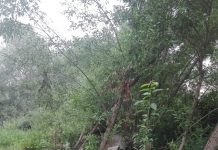 Sancțiuni de 2.000 de lei pentru depozitare ilegală de deșeuri