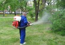 Începe dezinsecția la Rovinari!