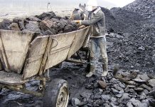 Bărbat de 75 de ani din Fărcășești prins la furat de cărbune!