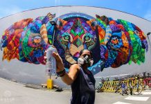 Blocurile din cartierele mărginașe din Târgu Jiu, înfrumusețate cu desene