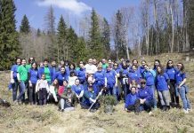 Angajații Zipper au participat la reîmpădurirea unor zone de la Cheia și Dezmir