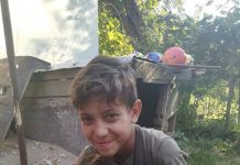 A început construcția casei lui Abeel