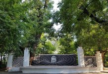 Cum arată prima creație realizată la Festivalul de Artă Stradală de la Târgu Jiu