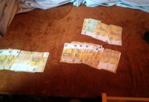 Trăgeau bancnote euro la xerox ca să cumpere cai. Suspecții au fost prinși de procurorii DIICOT