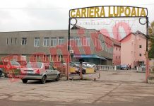 Concurs de-a-ndoaselea la o carieră a CEO! Pentru un post de șef serviciu