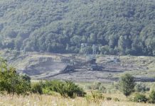 Hotărâre de guvern importantă pentru funcționarea CEO. Păduri scoase din fondul forestier, pentru exploatarea cărbunelui