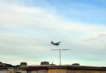 O nouă acțiune de dezinsecție, la Târgu Jiu