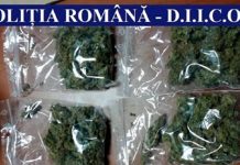 Târgujian arestat sub acuzația că a vândut droguri în județul Gorj