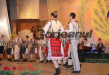 Ansamblul ,,Doina Gorjului” caută șofer și instrumentist