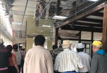 Excursie în județul Mehedinți, organizată de DGASPC Gorj