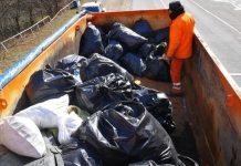 Europubelă furată de Drumul Național 66