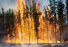 MAE atenţionează asupra riscului ridicat de incendii de vegetaţie în mai multe zone din Grecia