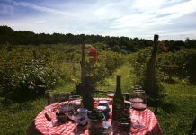 Gorjenii, așteptați să-și culeagă singuri murele din plantație