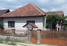 Vrei păstrăvărie? O poți cumpăra cu tot cu o casă cu etaj, în Arcani, la preț de apartament!