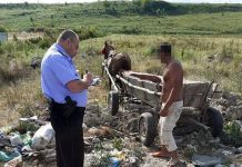 Bărbat surprins în timp ce arunca gunoiul pe o stradă din Târgu-Jiu! Ce amendă a primit pentru gestul său