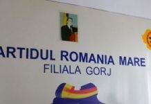 Persida Stan: „Doar împreună suntem puternici și vocea noastră este auzită și respectată!”